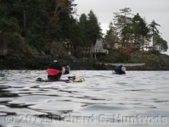 Boxing Day - Tyee to Dolphin